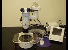 Microscope with attached camera